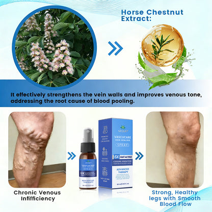 🇦🇺💃🌿GFOUK® VascuCare Vein Healing Spray(Designed for Varicose veins, Spider veins, Deep vein Thrombosis, Chronic venous insufficiency, Venous ulcers, Thrombophlebitis and other venous issues)